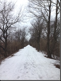 Old Plank_Frozen_2-22-14