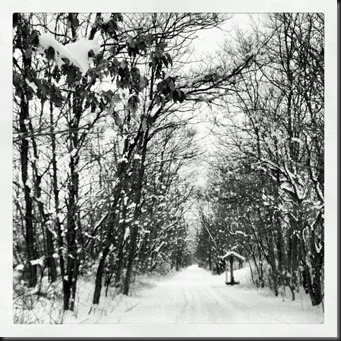 Snow OPT_black white_3-6-13