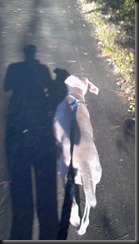 Libby_on the run_11-11-12