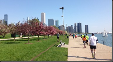 Chicago Spring half_views3