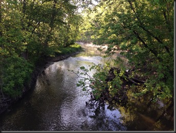 Hickory Creek_June 2014_stream
