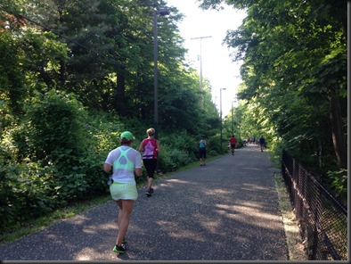 sunburst 2014_ mile 11 path