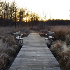 trail 3_benches