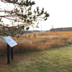 trail 9_interstate 69