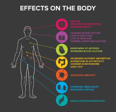 Stress Effects on Body