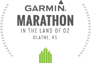 Garmin logo