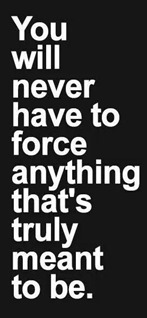 Never Have to Force Anything