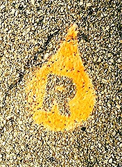 image-4-e1480956952804